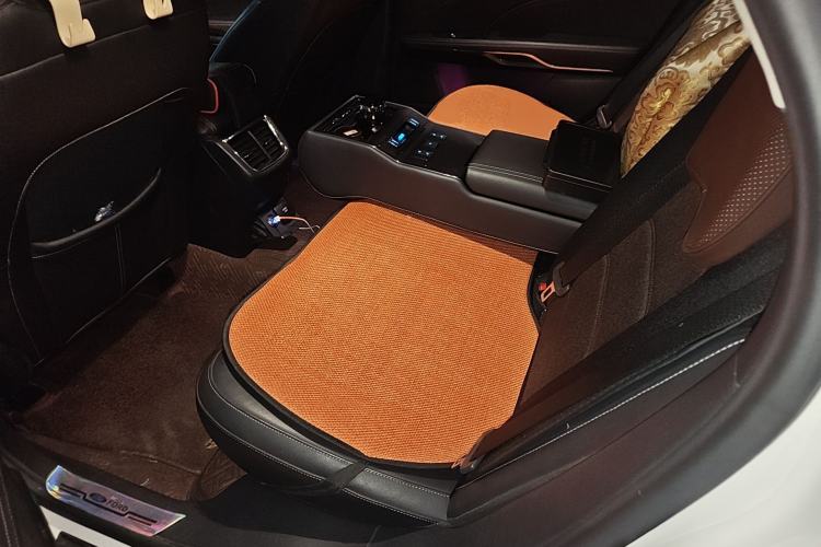 Used Ford Taurus 2017 EcoBoost 245 Luxury Model Left Rear Seat