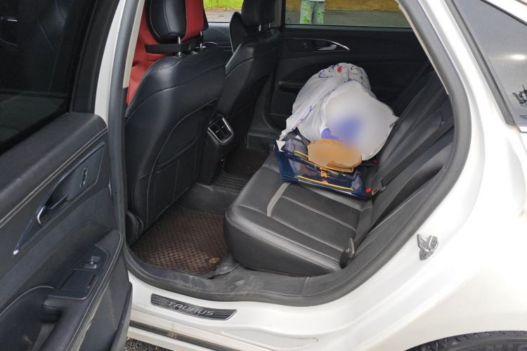 Used Ford Taurus 2017 EcoBoost 245 Luxury Model Left Rear Seat