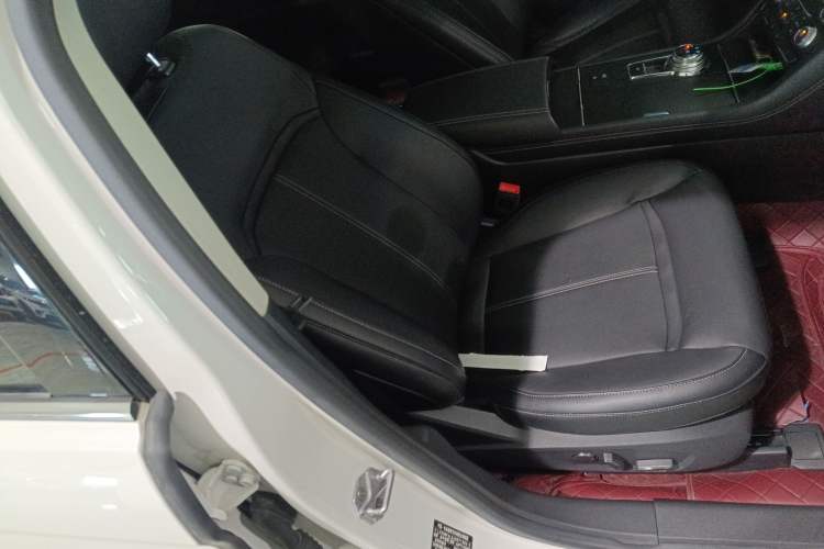 Used Ford Taurus 2018 EcoBoost 180 Luxury Model Right Front Seat