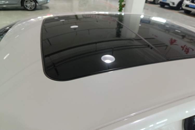 Used Ford Taurus 2018 EcoBoost 180 Luxury Model Roof