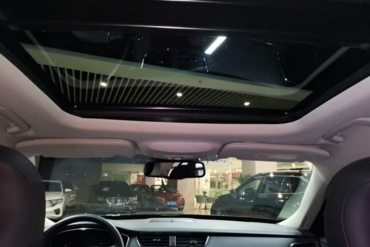 Used Ford Taurus 2019 EcoBoost 245 Premium Edition Headliner