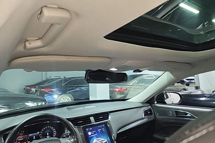 Used Ford Taurus 2019 EcoBoost 245 Premium Edition Headliner