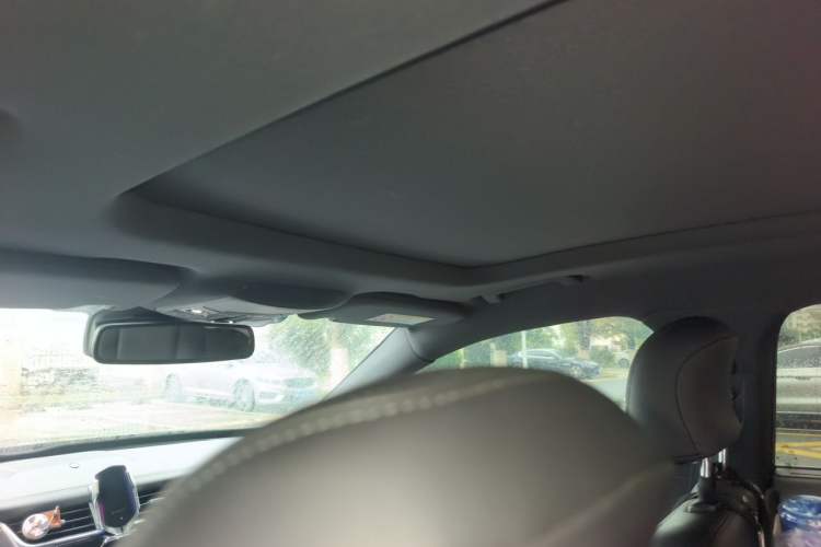 Used Ford Taurus 2019 EcoBoost 245 Vignale Deluxe Edition Headliner