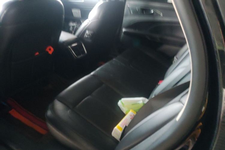 Used Ford Taurus 2019 EcoBoost 245 Premium Edition Left Rear Seat