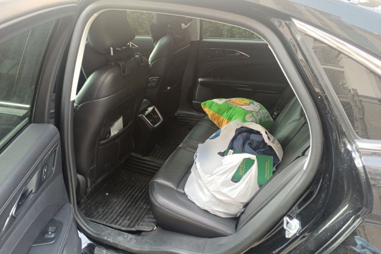 Used Ford Taurus 2019 EcoBoost 245 Premium Edition Left Rear Seat