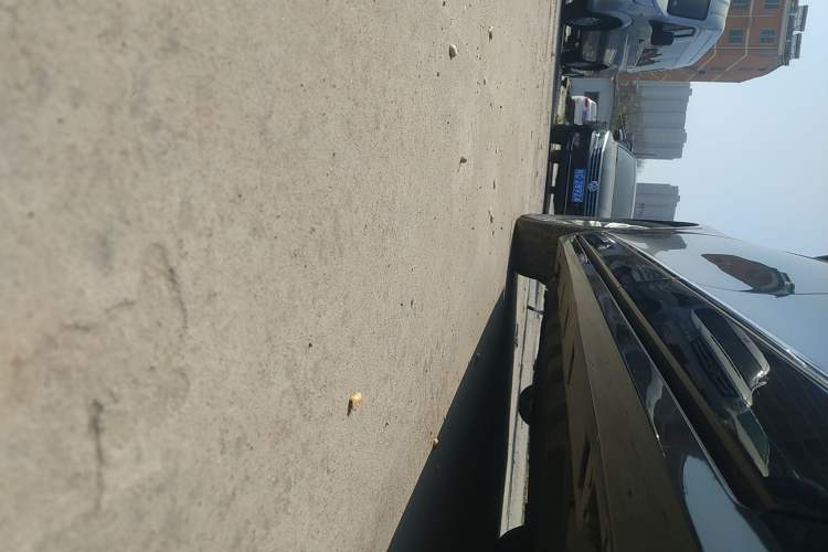 Used Ford Taurus 2019 EcoBoost 245 Comfort Edition Left Side Sill