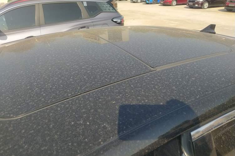 Used Ford Taurus 2019 EcoBoost 245 Comfort Edition Roof