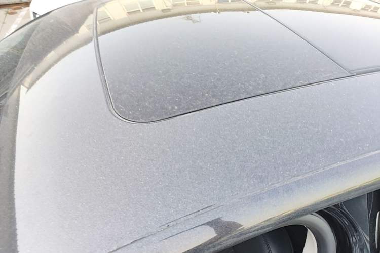 Used Ford Taurus 2019 EcoBoost 245 Comfort Edition Roof