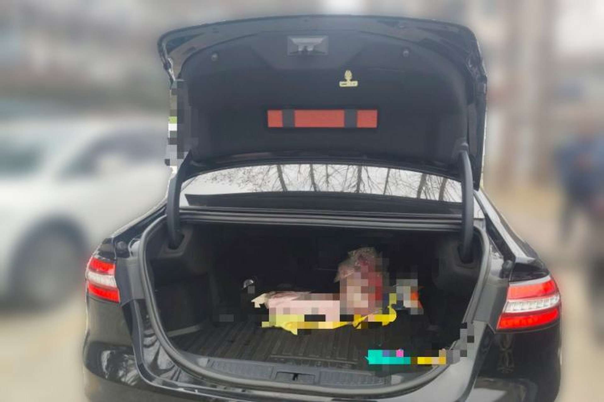 Used Ford Taurus 2019 EcoBoost 245 Premium Edition Trunk
