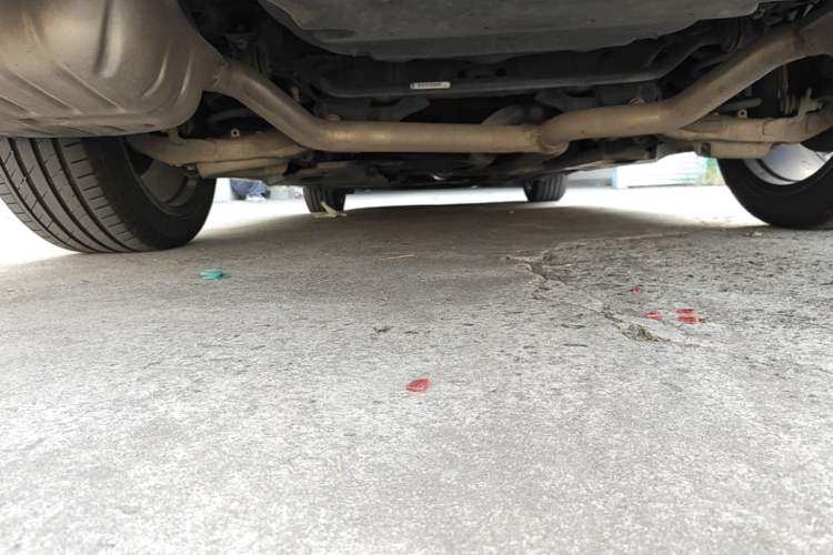 Used Ford Taurus 2019 EcoBoost 245 Premium Edition Chassis Rear