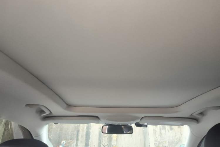 Used Ford Taurus 2019 EcoBoost 245 Premium Edition Headliner