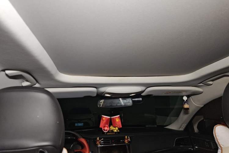 Used Ford Taurus 2019 EcoBoost 245 Premium Edition Headliner