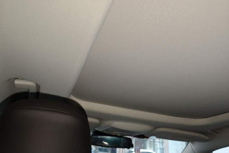 Used Ford Taurus 2019 EcoBoost 245 Premium Edition Headliner