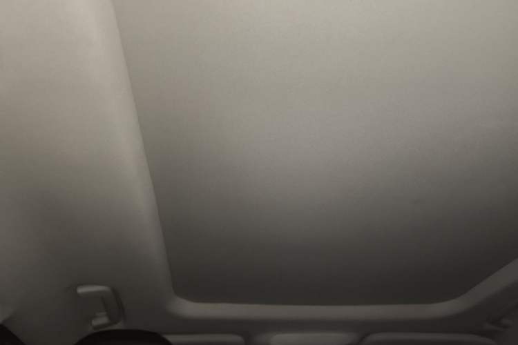 Used Ford Taurus 2019 EcoBoost 245 Premium Edition Headliner