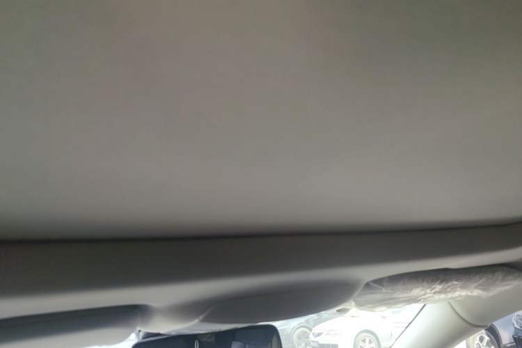 Used Ford Taurus 2019 EcoBoost 245 Premium Edition Headliner