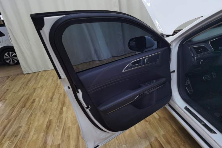 Used Ford Taurus 2019 EcoBoost 245 Premium Edition Left Rear Door Interior