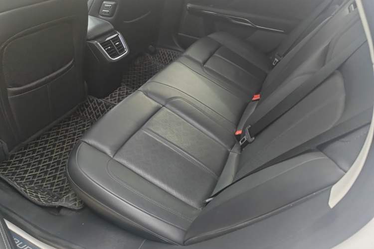 Used Ford Taurus 2019 EcoBoost 245 Premium Edition Left Rear Seat