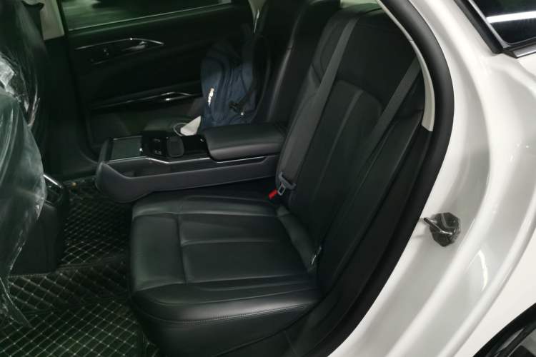 Used Ford Taurus 2019 EcoBoost 245 Premium Edition Left Rear Seat