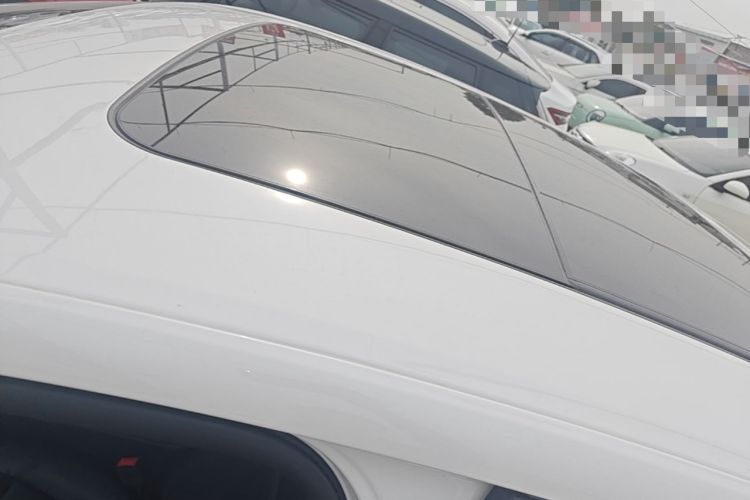 Used Ford Taurus 2019 EcoBoost 245 Premium Edition Roof