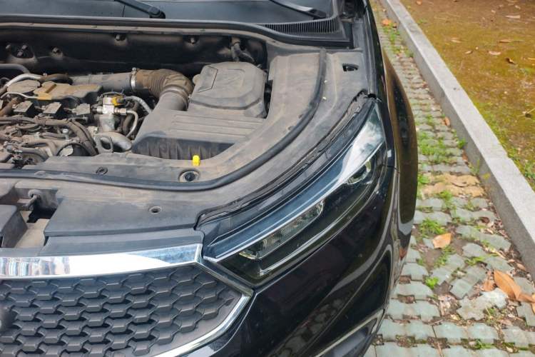 Used Ford Territory 2019 EcoBoost 145 CVT Platinum Edition China V Standard Engine Bay Left