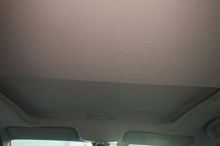 Used Ford Territory 2019 Custom Edition Headliner