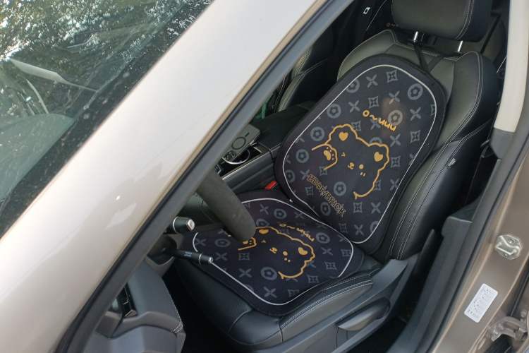 Used Ford Territory 2019 EcoBoost 145 CVT Platinum Edition China VI compliant Left Front Seat