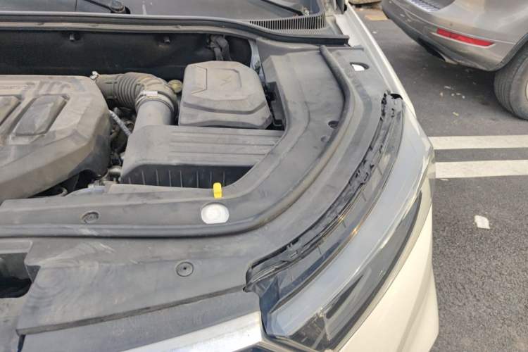 Used Ford Territory 2019 EcoBoost 145 CVT Platinum Edition China V Standard Engine Bay Left