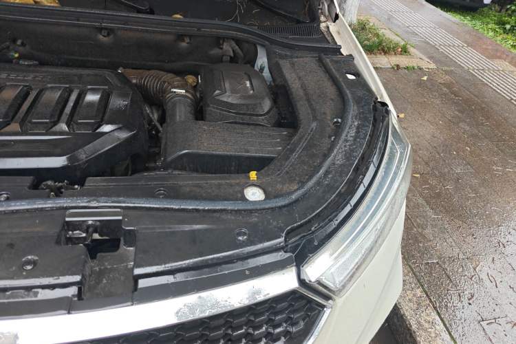 Used Ford Territory 2019 EcoBoost 145 CVT Platinum Edition China VI compliant Engine Bay Left