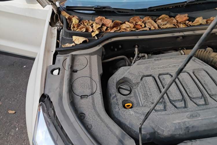 Used Ford Territory 2019 EcoBoost 145 CVT Platinum Edition China VI compliant Engine Bay Right