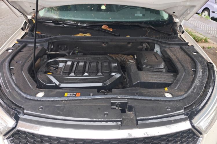 Used Ford Territory 2019 EcoBoost 145 CVT Platinum Edition China VI compliant Engine Bay