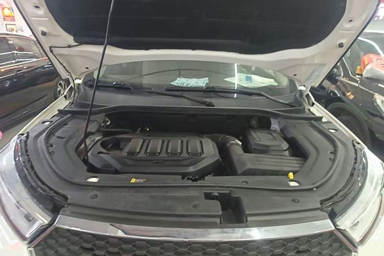 Used Ford Territory 2019 EcoBoost 145 CVT Platinum Edition China VI compliant Engine Bay