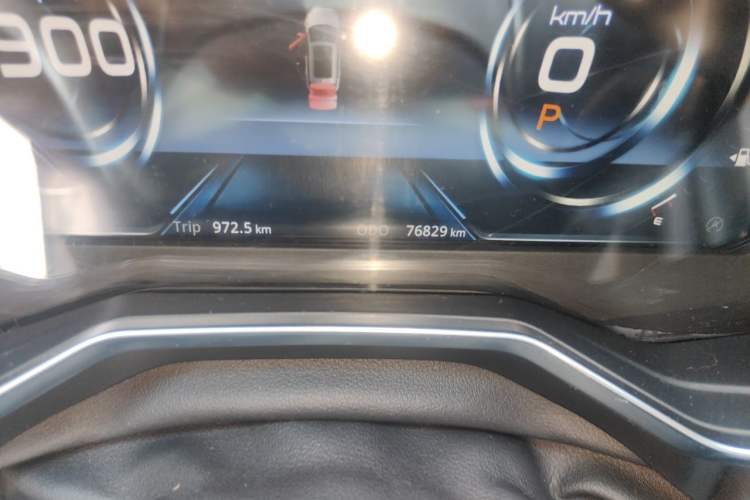 Used Ford Territory 2019 EcoBoost 145 CVT Prestige PLUS Model China V Standard Odometer Close Up