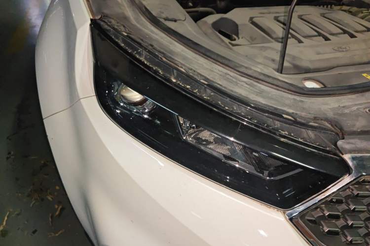Used Ford Territory 2019 EcoBoost 145 CVT Platinum Edition China V Standard Right Front Headlight
