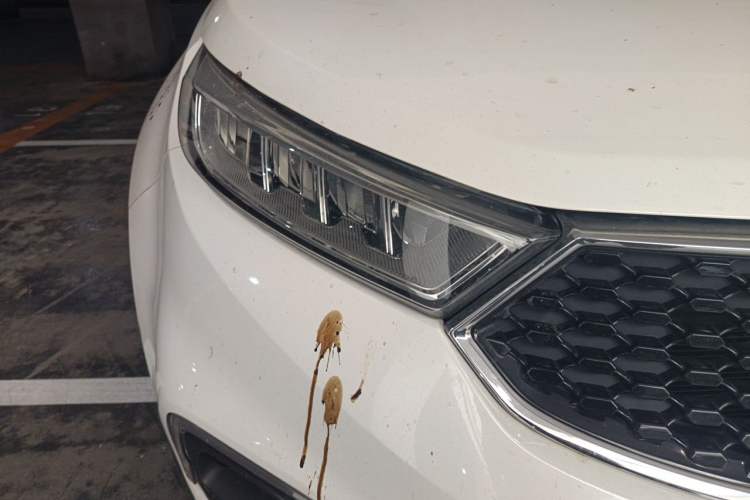 Used Ford Territory 2019 EcoBoost 145 CVT Prestige PLUS Model China V Standard Right Front Headlight