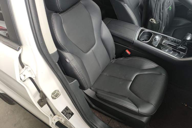 Used Ford Territory 2019 EcoBoost 145 CVT Platinum Edition China V Standard Right Front Seat