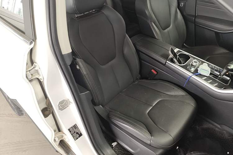 Used Ford Territory 2019 EcoBoost 145 CVT Platinum Edition China VI compliant Right Front Seat