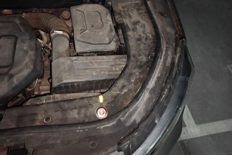Used Ford Territory 2019 EcoBoost 145 CVT Prestige Model China VI Standard Engine Bay Left