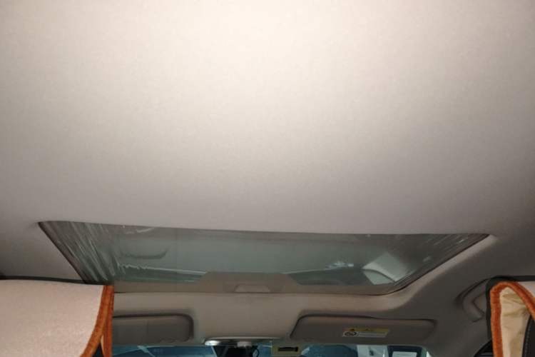 Used Ford Territory 2020 Lingjie S EcoBoost 145 CVT Platinum Edition Headliner