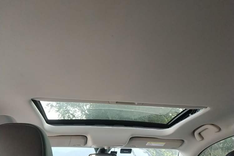 Used Ford Territory 2020 Lingjie S EcoBoost 145 CVT Platinum Edition Headliner