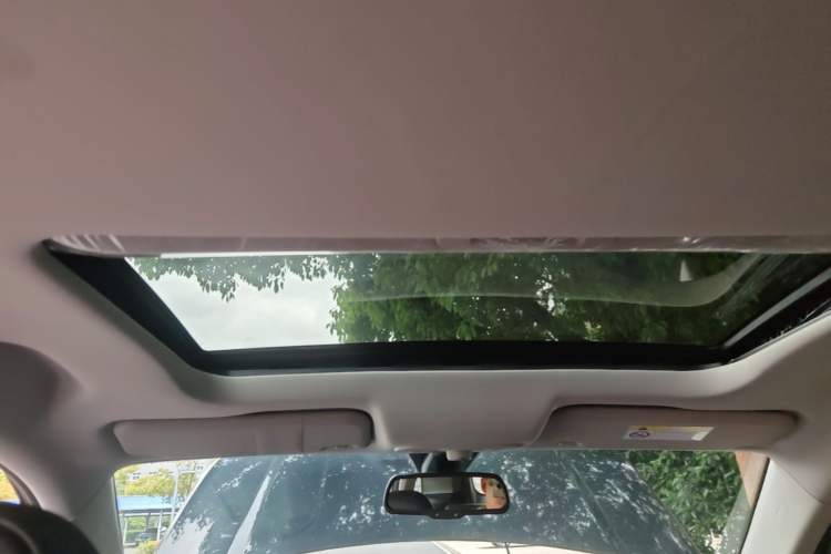 Used Ford Territory 2020 Lingjie S EcoBoost 145 CVT Platinum Edition Headliner