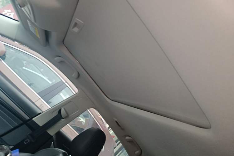 Used Ford Territory 2020 Lingjie S EcoBoost 145 CVT Platinum Edition Headliner