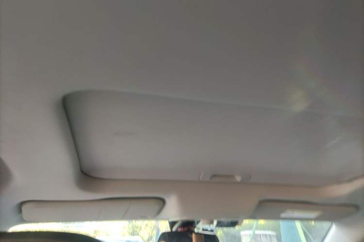 Used Ford Territory 2020 Lingjie S EcoBoost 145 CVT Platinum Edition Headliner