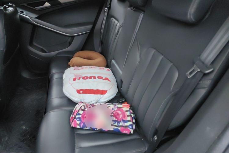 Used Ford Territory 2020 Lingjie S EcoBoost 145 CVT Platinum Edition Left Rear Seat