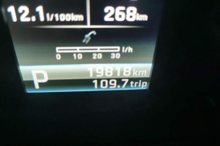 Used Ford Territory 2020 Lingjie S EcoBoost 145 CVT Platinum Edition Odometer Close Up