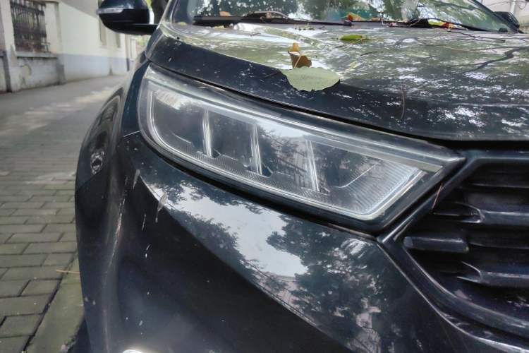 Used Ford Territory 2020 Lingjie S EcoBoost 145 CVT Platinum Edition Right Front Headlight
