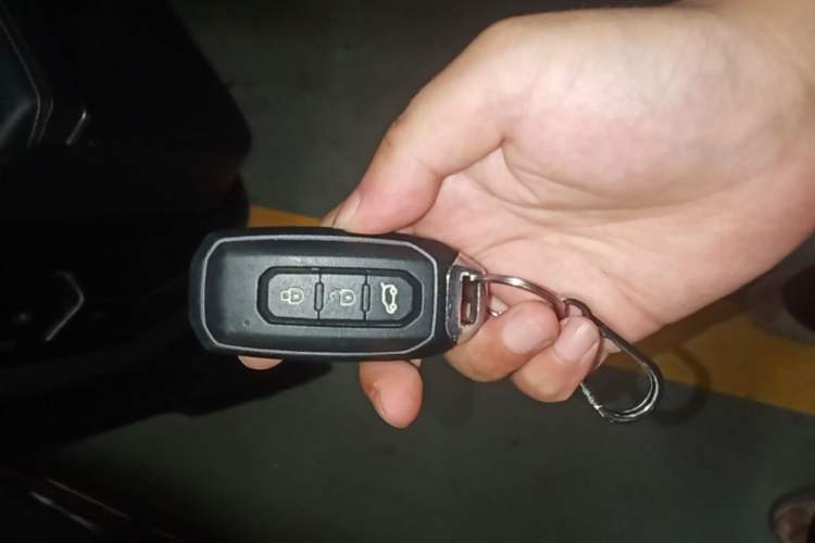 Used Ford Territory 2020 Lingjie S EcoBoost 145 CVT Platinum Edition Vehicle Key