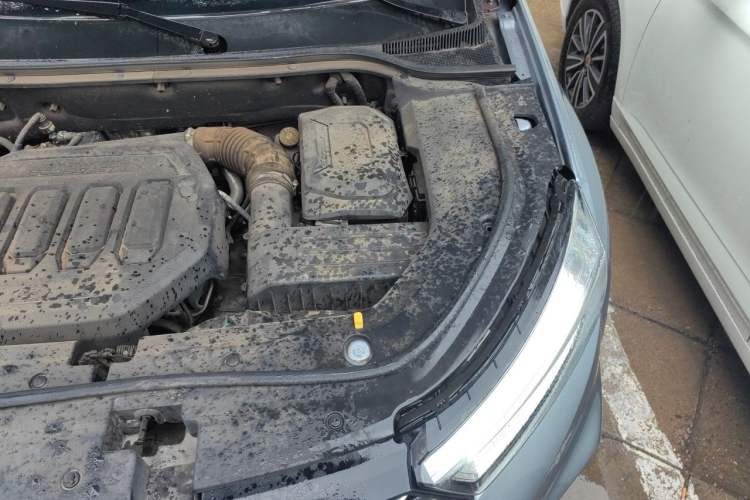 Used Ford Territory 2020 Lingjie S EcoBoost 145 CVT 48V Zunling Type PLUS Engine Bay Left