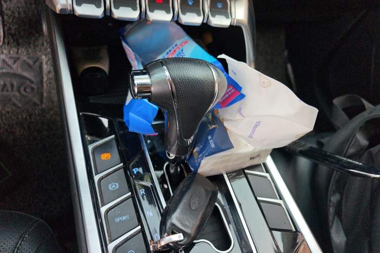 Used Ford Territory 2020 Lingjie S EcoBoost 145 CVT Platinum Edition Gear Lever