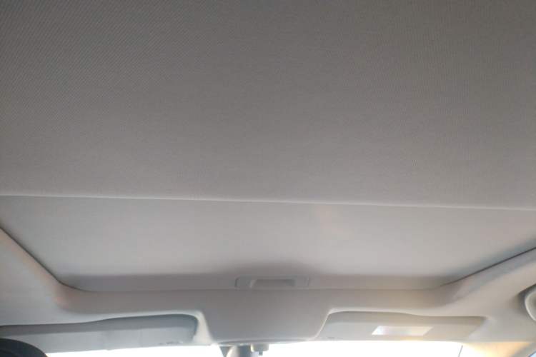 Used Ford Territory 2020 Lingjie S EcoBoost 145 CVT Platinum Edition Headliner