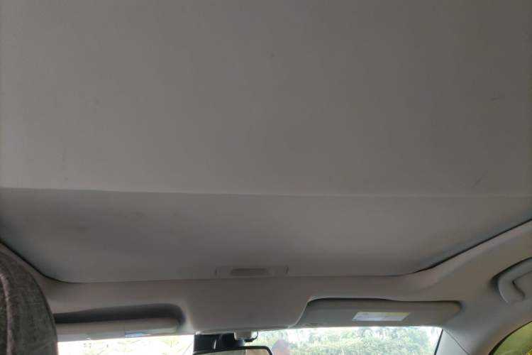 Used Ford Territory 2020 Lingjie S EcoBoost 145 CVT Platinum Edition Headliner